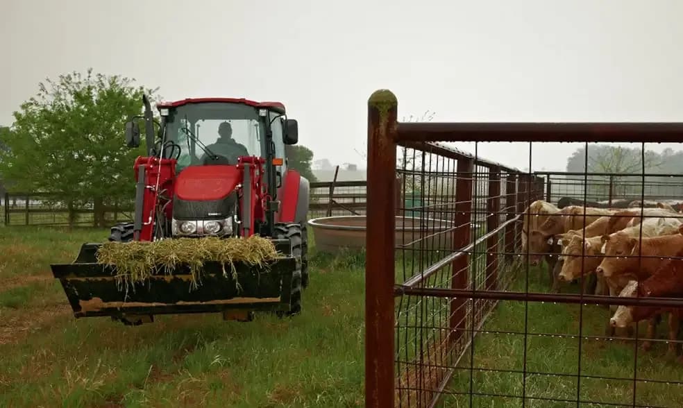 Farmall Utility 65C