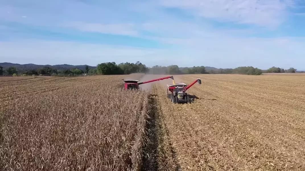 Harvest Command photo 4