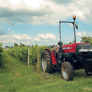 CASE IH Farmall 80V Vineyard